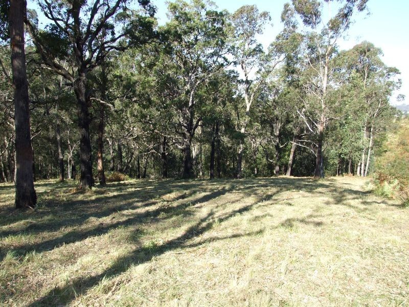 Lot 1 Yowrie Road, Cobargo NSW 2550