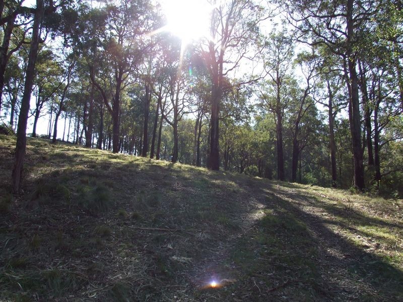 Lot 1 Yowrie Road, Cobargo NSW 2550