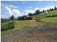 288 Upper Cobargo Road, Bega NSW 2550