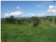 288 Upper Cobargo Road, Bega NSW 2550