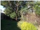 270 Auckland Street, Bega NSW 2550