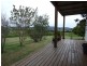 Lot 211 Coolagolite Road, Cobargo NSW 2550