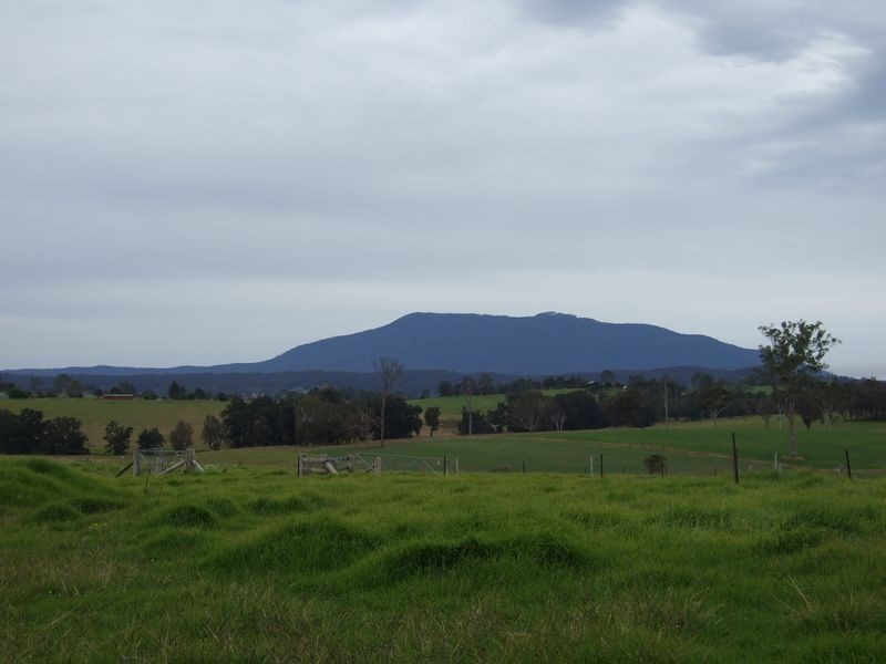 Lot 211 Coolagolite Road, Cobargo NSW 2550