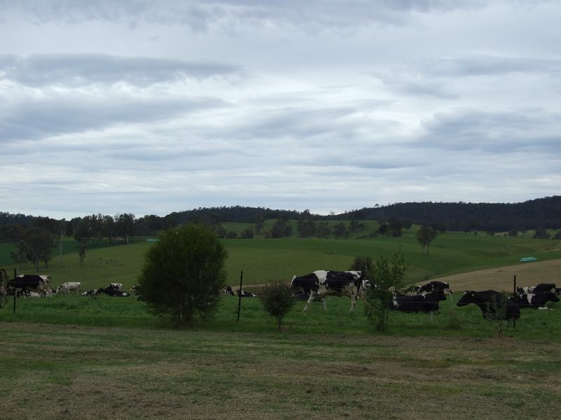 Lot 211 Coolagolite Road, Cobargo NSW 2550