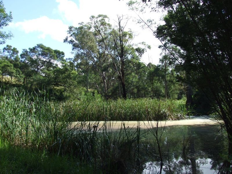 Lot 5 Hore Lacey Road Brogo, Quaama NSW 2550