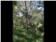 Lot 5 Hore Lacey Road Brogo, Quaama NSW 2550
