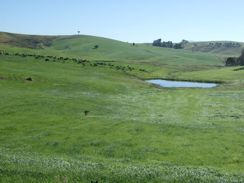 866 Candelo – Wolumla Road, Wolumla NSW 2550