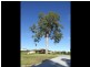 3 Denison Close, Bega NSW 2550