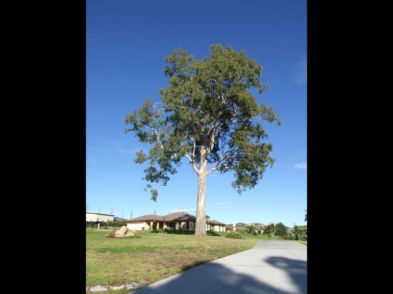 3 Denison Close, Bega NSW 2550