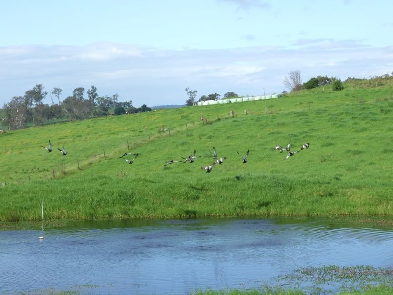 250 Upper Cobargo Road, Bega NSW 2550