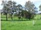 250 Upper Cobargo Road, Bega NSW 2550