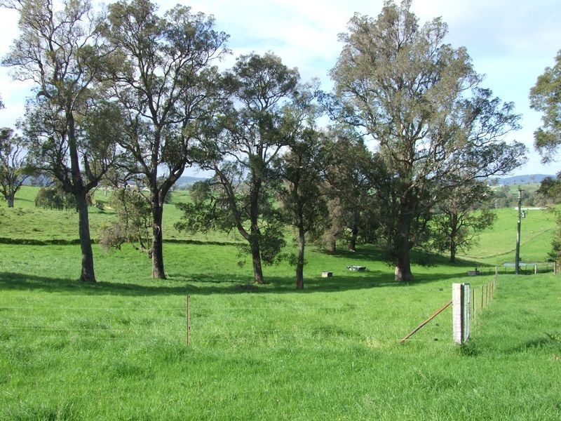 250 Upper Cobargo Road, Bega NSW 2550