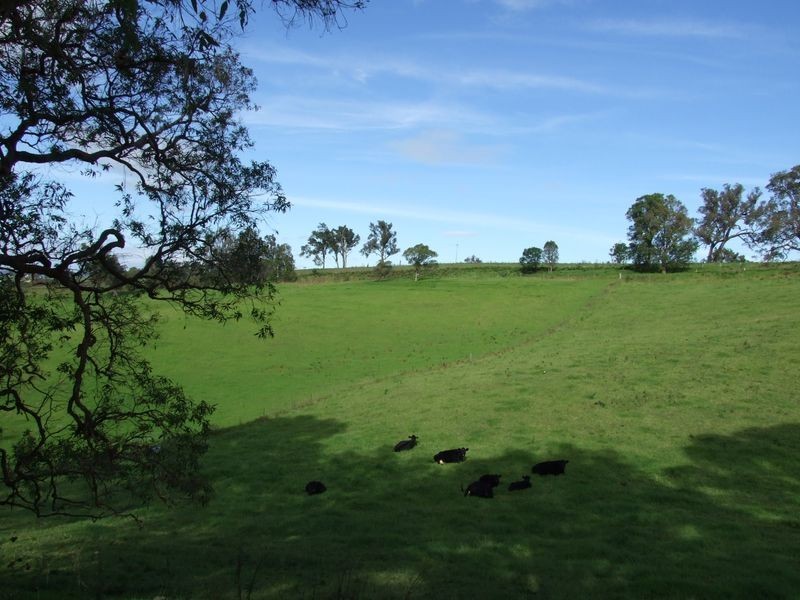 250 Upper Cobargo Road, Bega NSW 2550