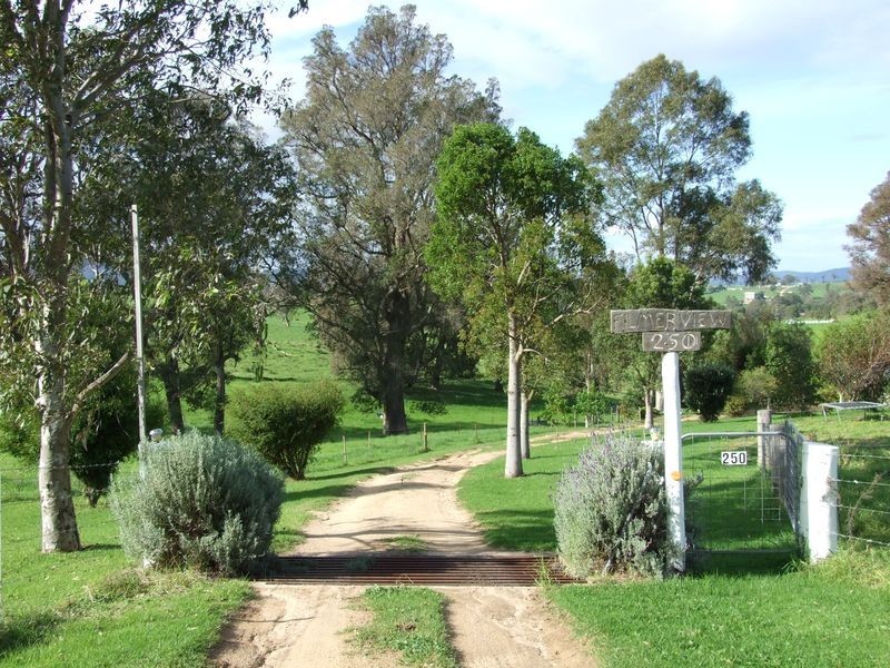 250 Upper Cobargo Road, Bega NSW 2550