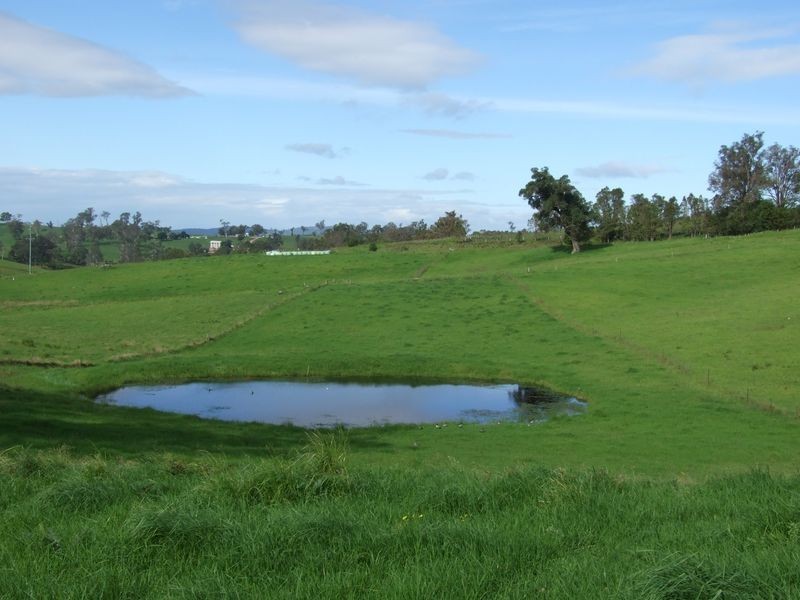 250 Upper Cobargo Road, Bega NSW 2550