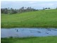 250 Upper Cobargo Road, Bega NSW 2550