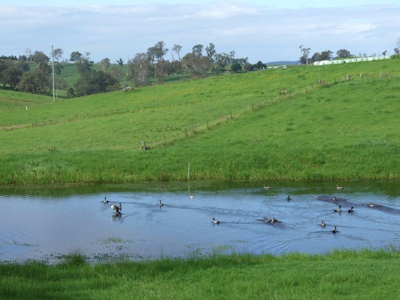 250 Upper Cobargo Road, Bega NSW 2550