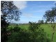 250 Upper Cobargo Road, Bega NSW 2550