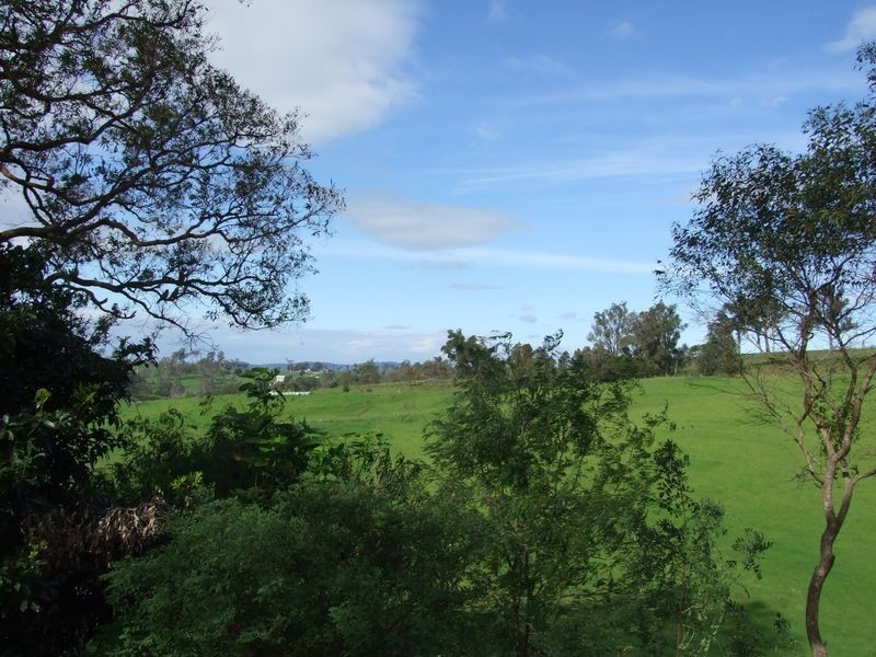 250 Upper Cobargo Road, Bega NSW 2550