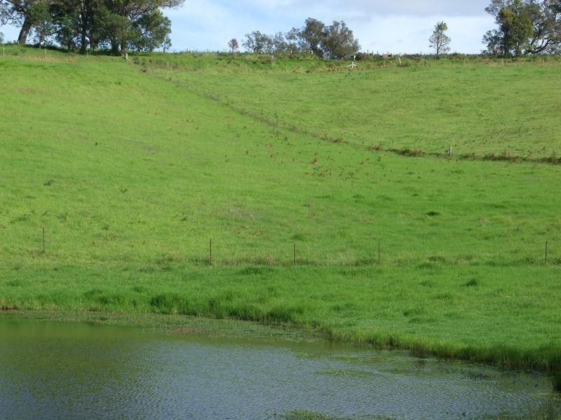 250 Upper Cobargo Road, Bega NSW 2550