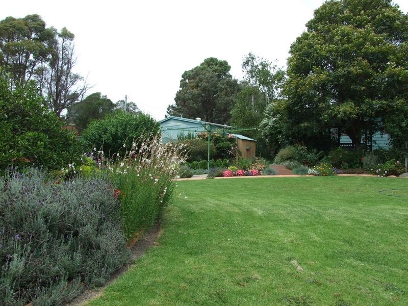 1306 Wolumla Road, Candelo NSW 2550