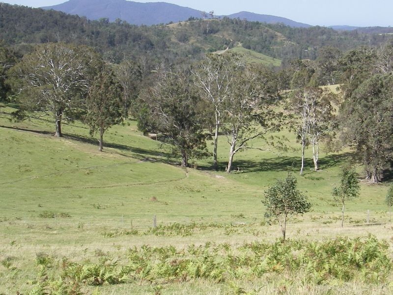 Lot 4 Desert Creek Road, Brogo NSW 2550