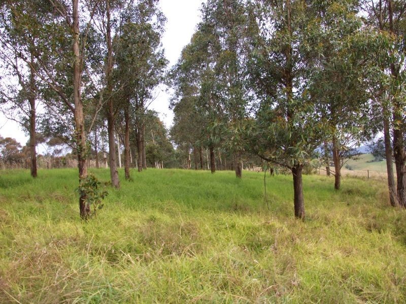Lot 12 Wyndam Lane, Toothdale NSW 2550