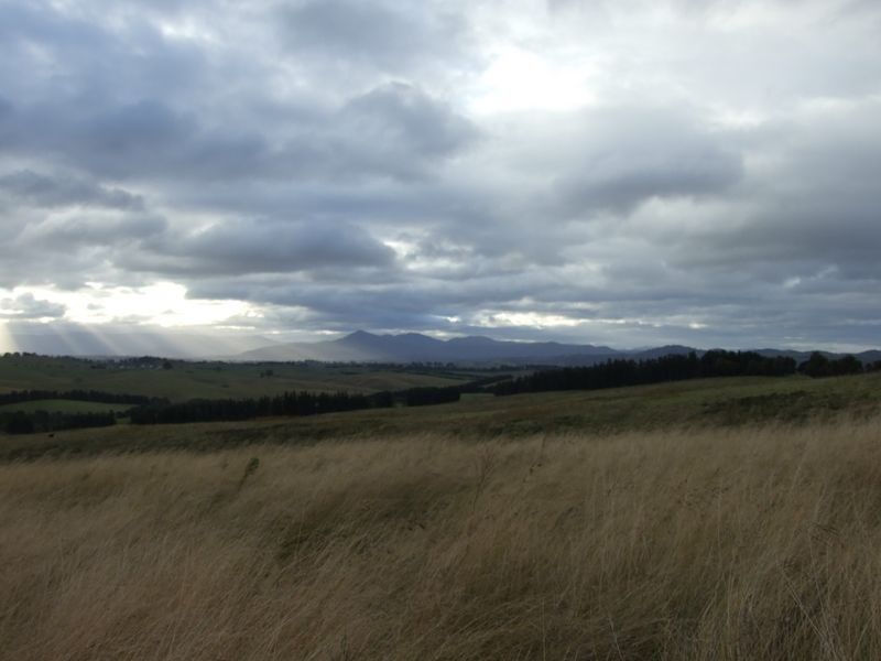 Lot 12 Wyndam Lane, Toothdale NSW 2550