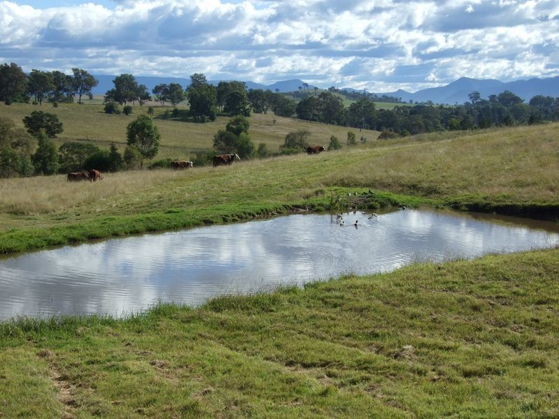 147 Slaters Lane, Tantawangalo NSW 2550