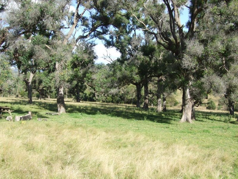 147 Slaters Lane, Tantawangalo NSW 2550