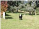 147 Slaters Lane, Tantawangalo NSW 2550
