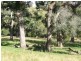 147 Slaters Lane, Tantawangalo NSW 2550