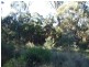 Lot 13 Rileys Road, Bermagui NSW 2546