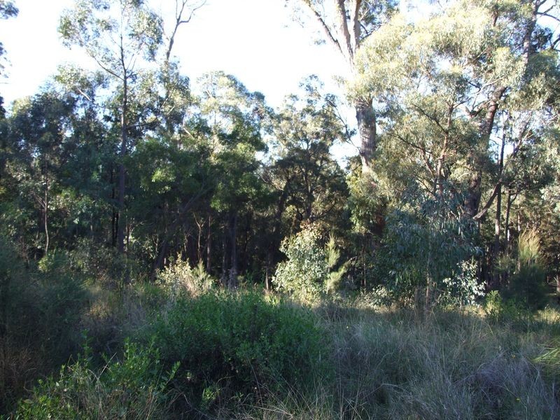 Lot 13 Rileys Road, Bermagui NSW 2546
