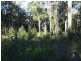 Lot 13 Rileys Road, Bermagui NSW 2546