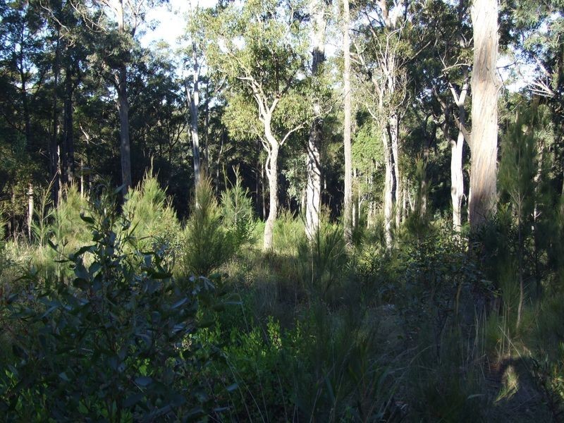 Lot 13 Rileys Road, Bermagui NSW 2546
