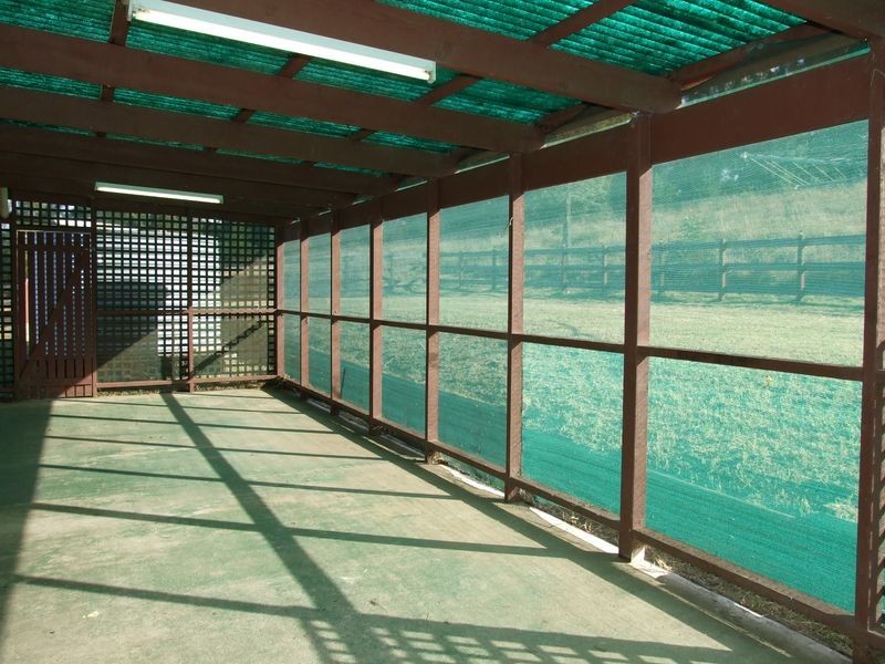 9860 Princess Highway, Cobargo NSW 2550