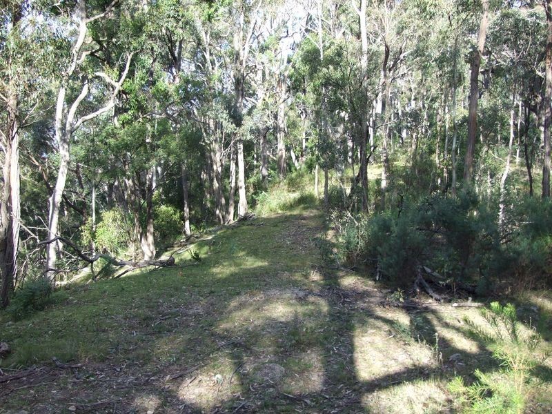 Lot B & E Blackrange Rd, Bega NSW 2550