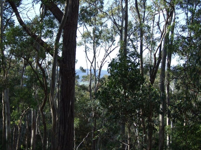 Lot B & E Blackrange Rd, Bega NSW 2550