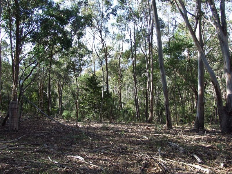 Lot B & E Blackrange Rd, Bega NSW 2550