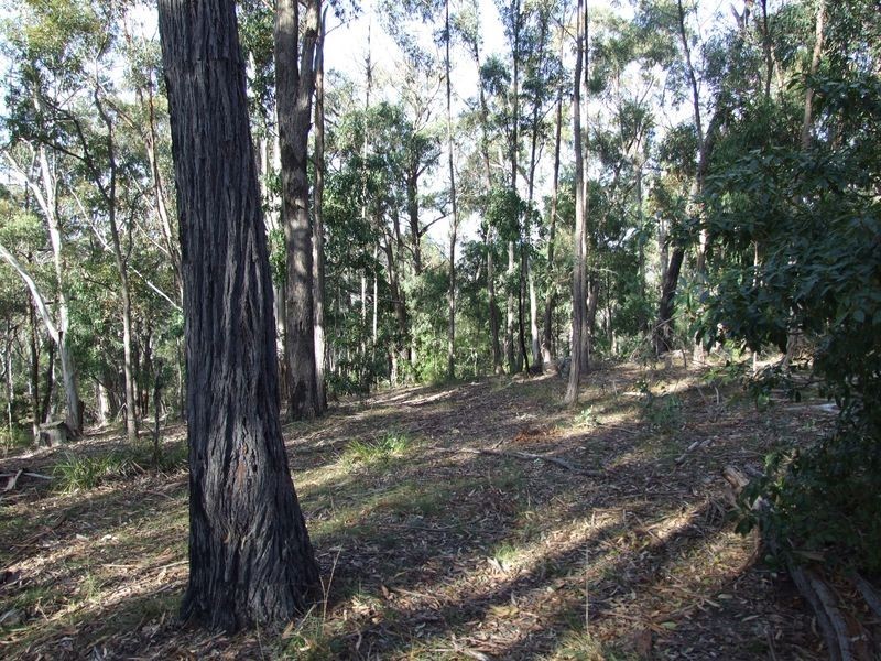 Lot B & E Blackrange Rd, Bega NSW 2550