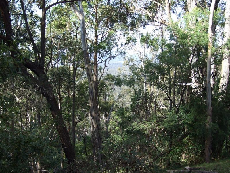 Lot B & E Blackrange Rd, Bega NSW 2550