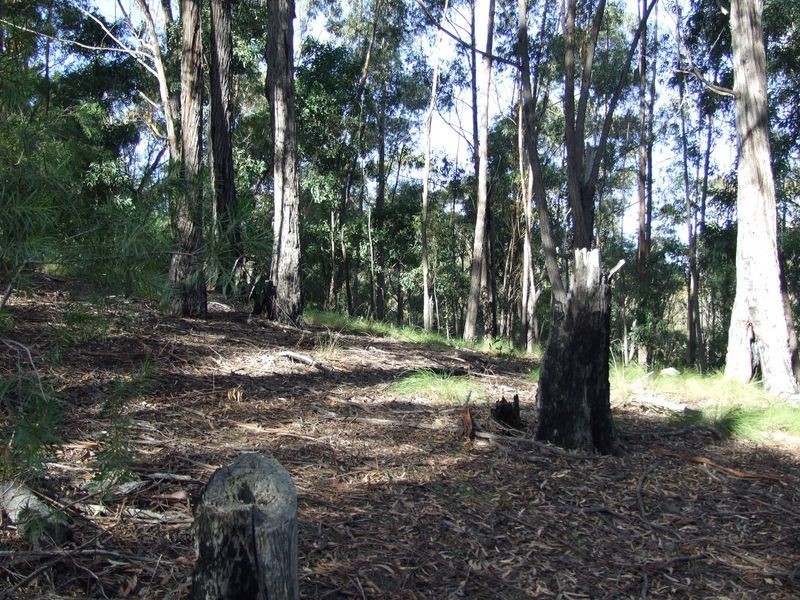 Lot C & D Blackrange Rd, Bega NSW 2550