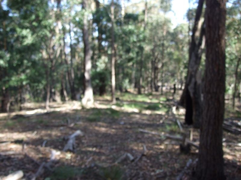 Lot C & D Blackrange Rd, Bega NSW 2550