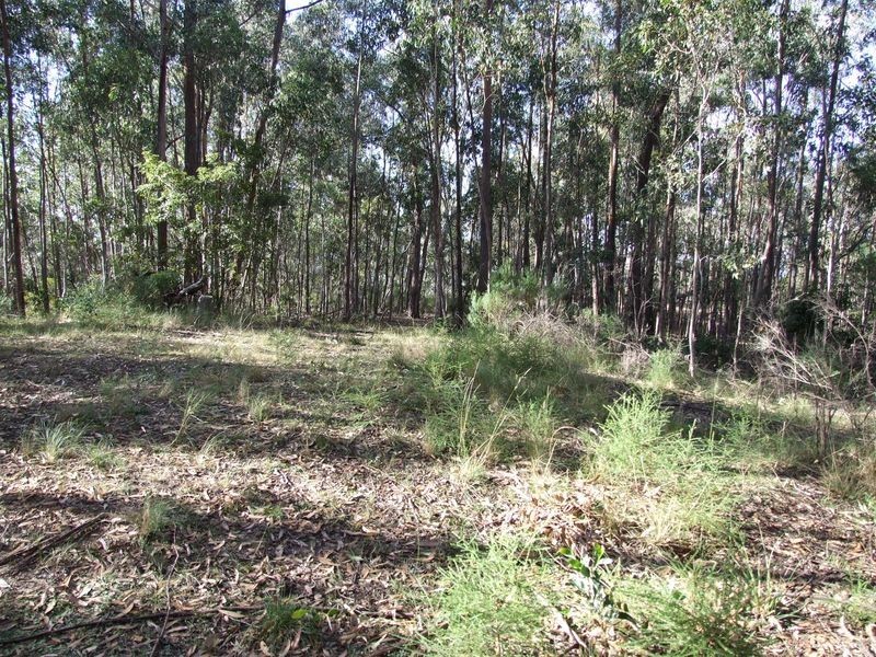 Lot C & D Blackrange Rd, Bega NSW 2550