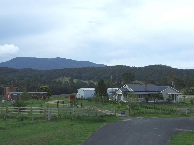 Lot 9 – 20 Brimmers Lane, Cobargo NSW 2550