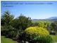 171 Briandary Road, Bega NSW 2550