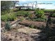 171 Briandary Road, Bega NSW 2550