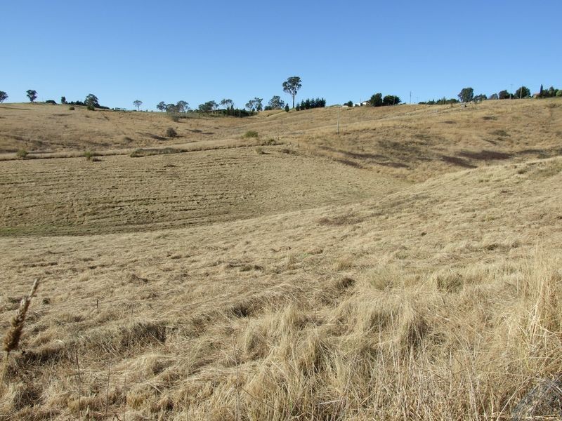 Lots 12 13 & 14 Short Street, Candelo NSW 2550