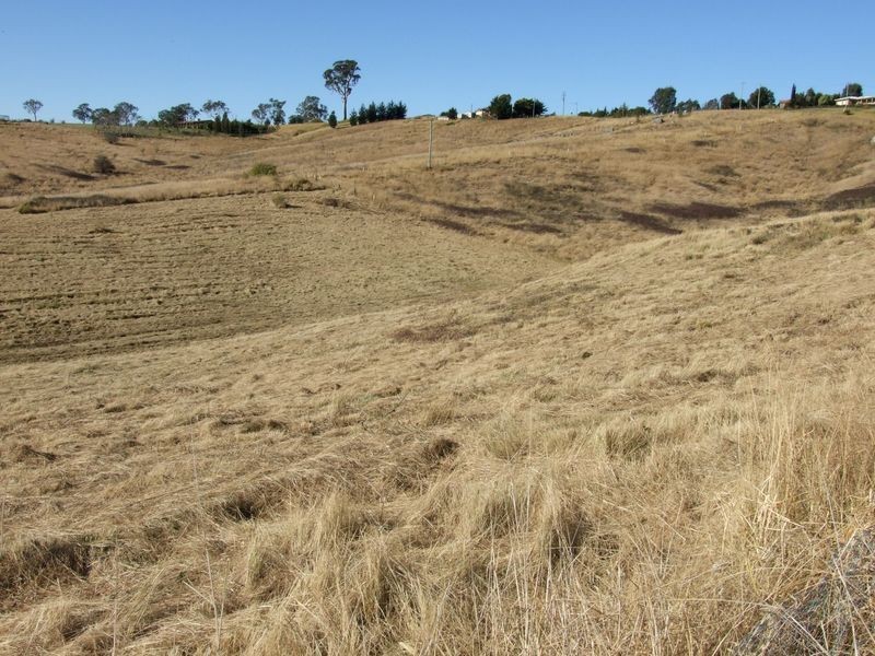 Lots 12 13 & 14 Short Street, Candelo NSW 2550